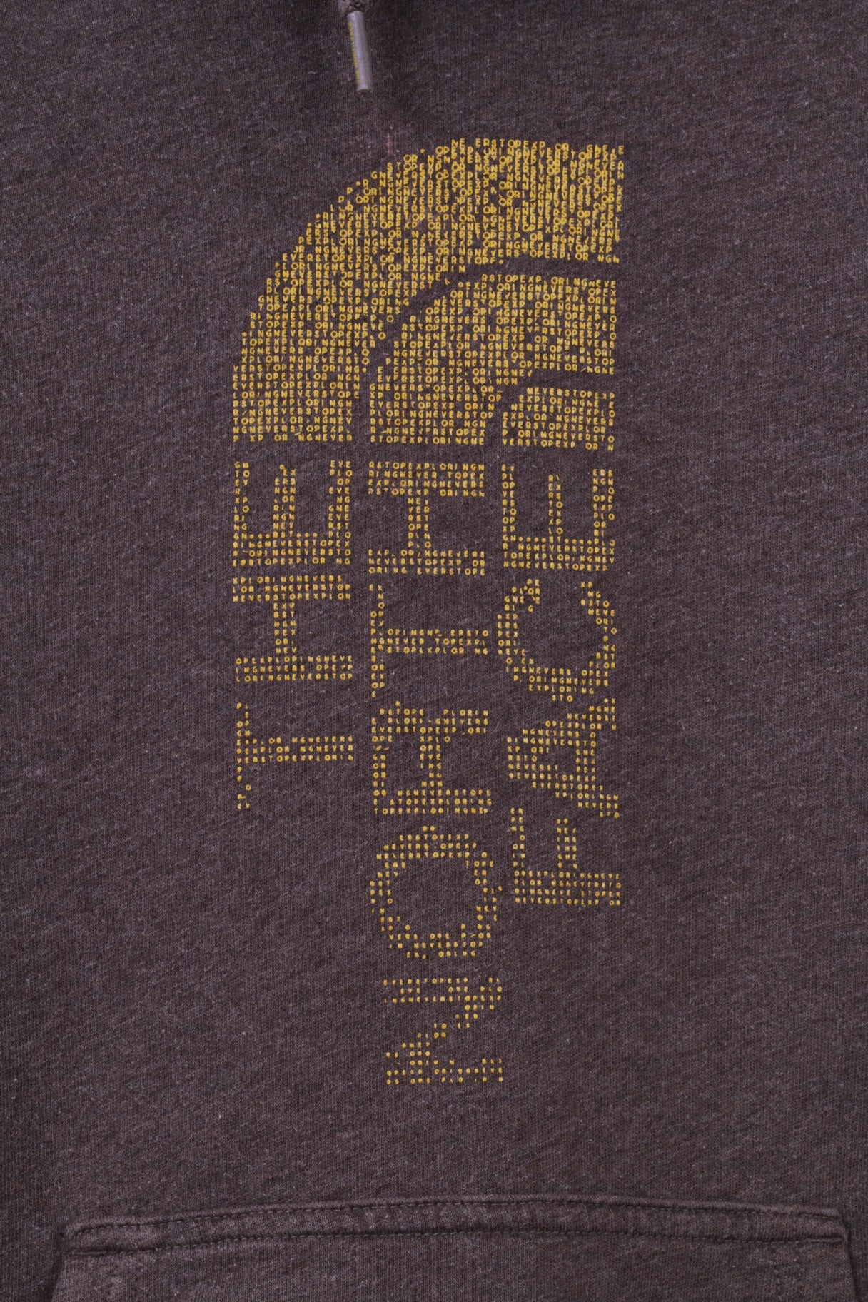 The North Face Mens XS Sweatshirt Brown Cotton Graphic Logo Kangaroo Pocket Hoodie - Image 3
