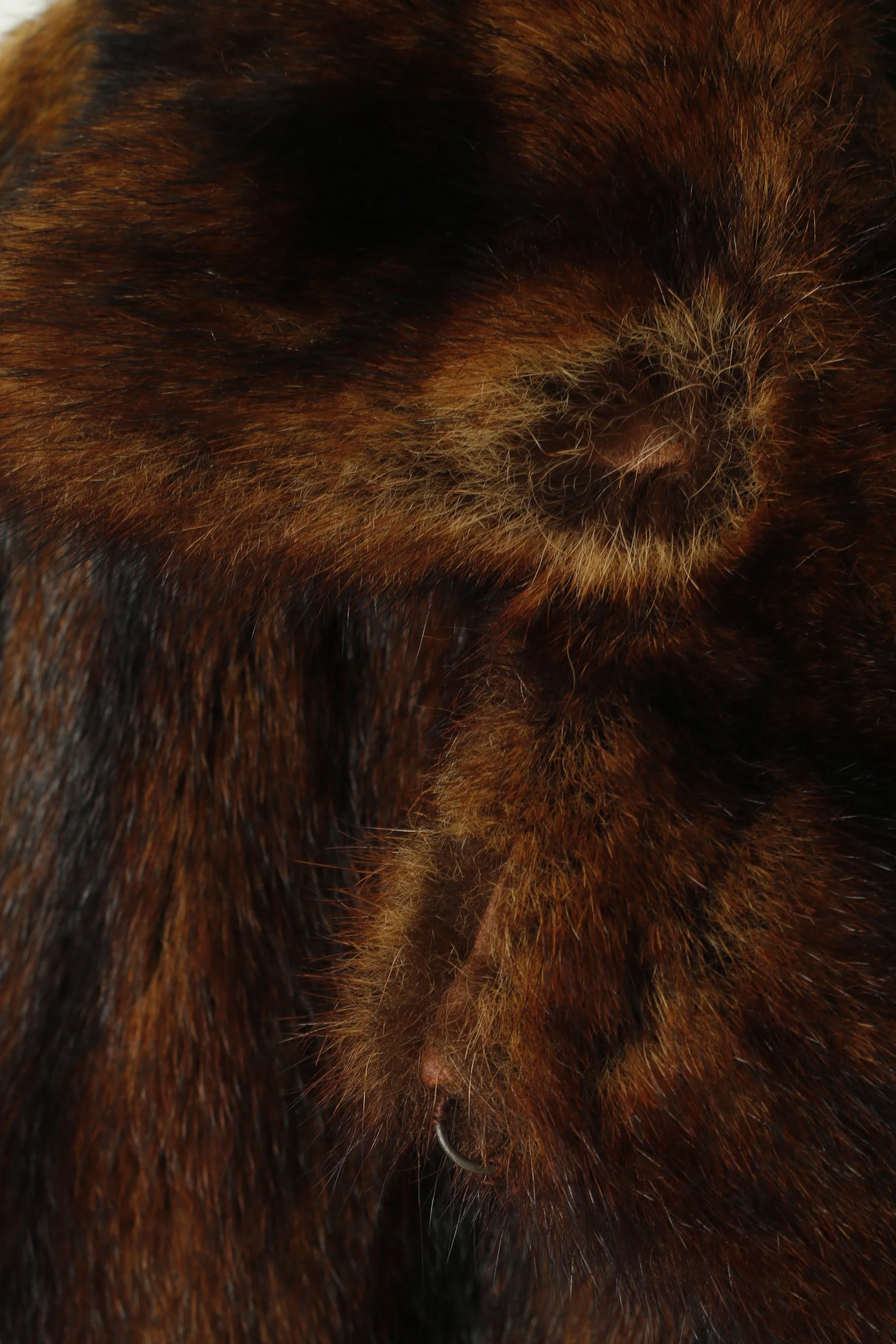 Kaire Kvammen Bergen Women S Jacket Authentic Fur Brown Ginger                                                                                                                        Boho Buttoned Top - Image 3